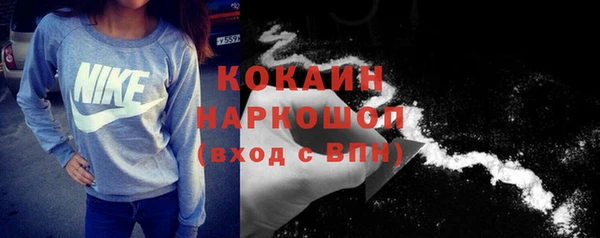 дживик Бородино