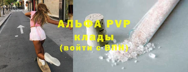 индика Бронницы