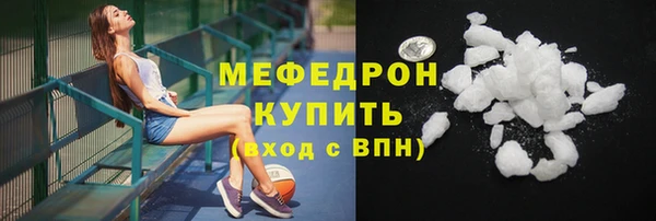 индика Бронницы