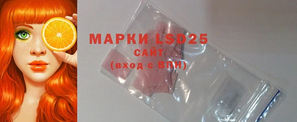 индика Бронницы