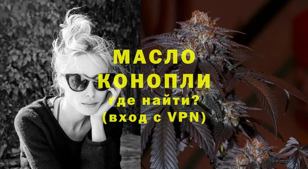 дживик Бородино