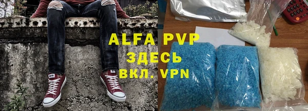 индика Бронницы