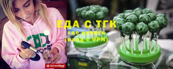 индика Бронницы