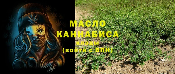 индика Бронницы