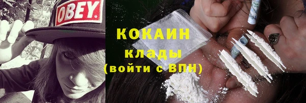 дмт Богородск