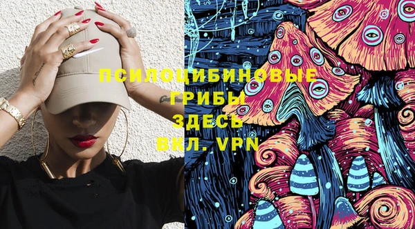 MDMA Богородицк