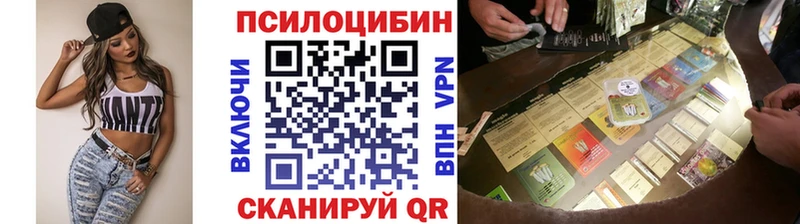 Псилоцибиновые грибы Cubensis  OMG сайт  Кашира  магазин  наркотиков 